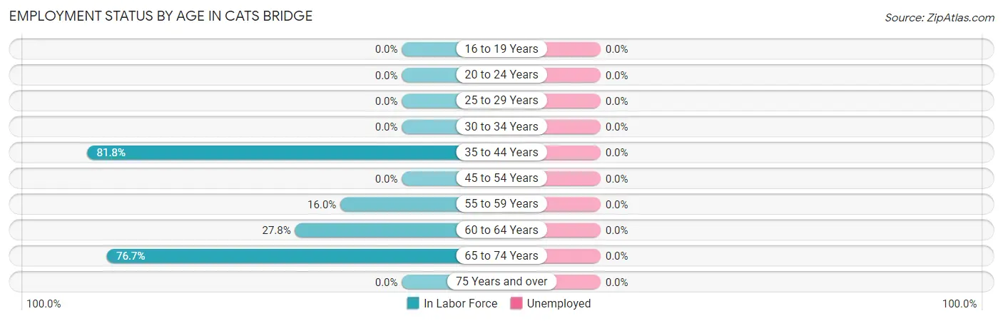 Employment Status by Age in Cats Bridge