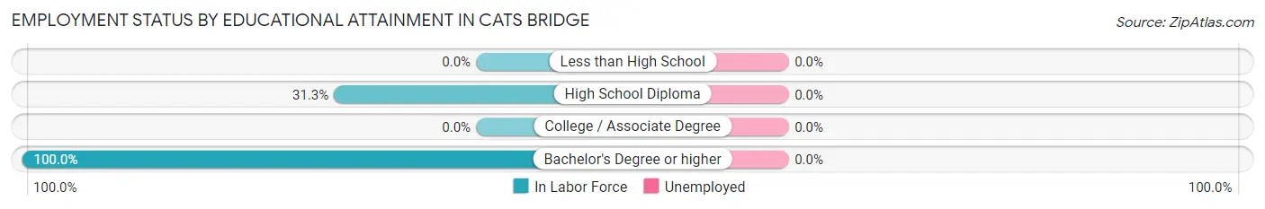Employment Status by Educational Attainment in Cats Bridge