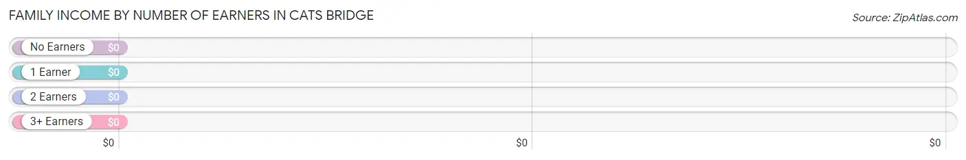 Family Income by Number of Earners in Cats Bridge