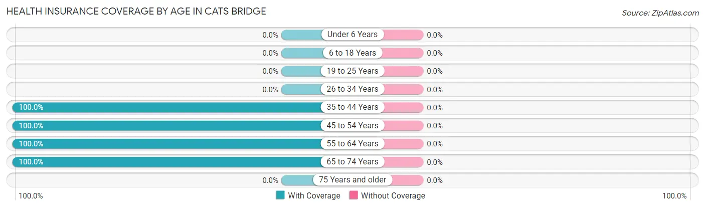 Health Insurance Coverage by Age in Cats Bridge
