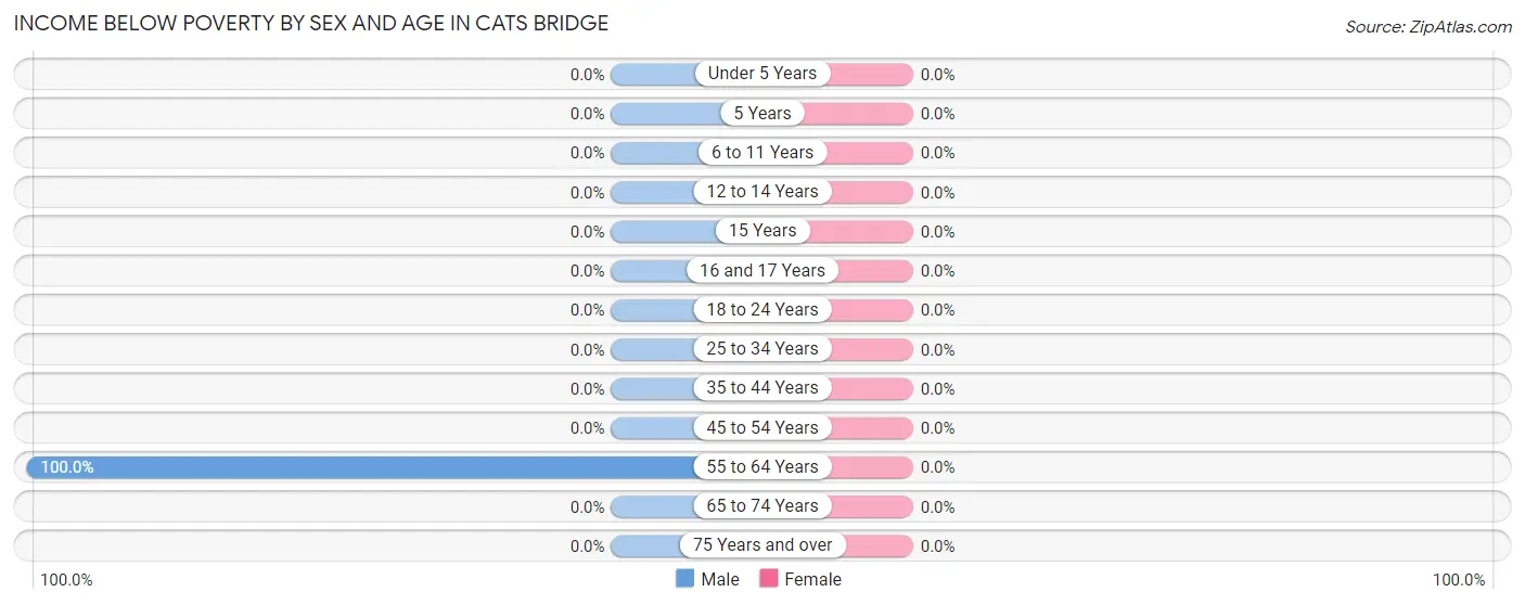 Income Below Poverty by Sex and Age in Cats Bridge