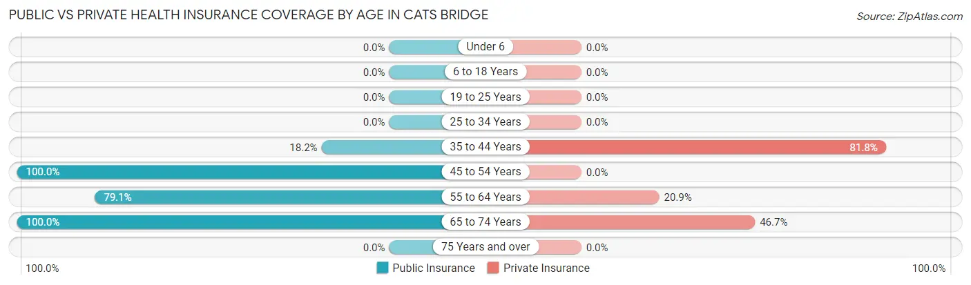 Public vs Private Health Insurance Coverage by Age in Cats Bridge