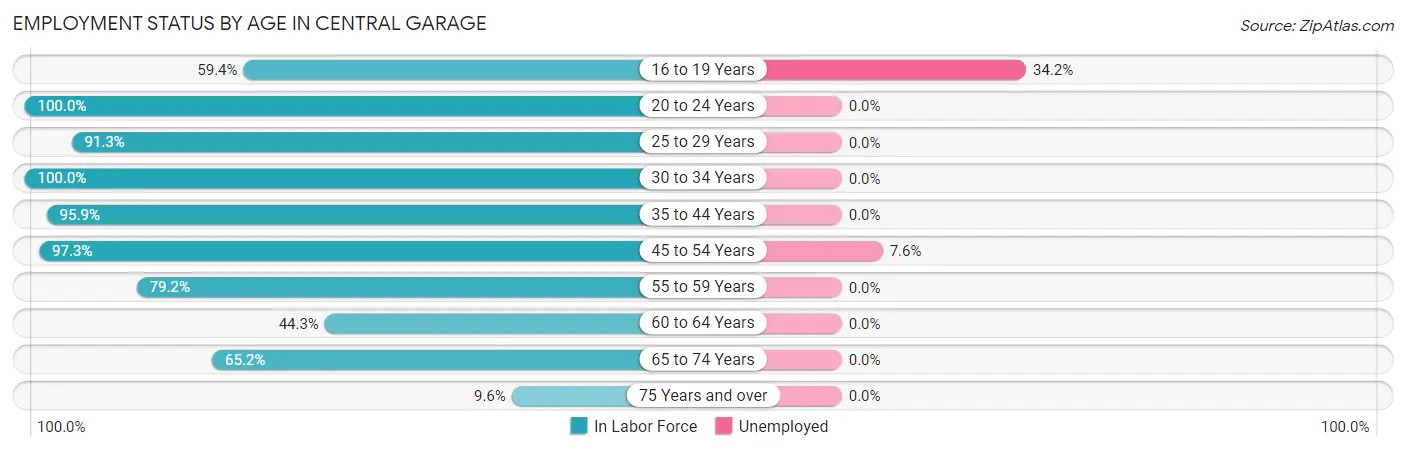 Employment Status by Age in Central Garage