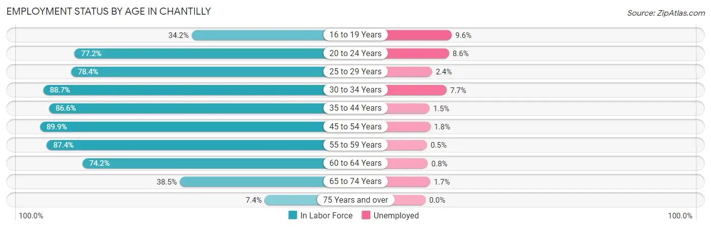 Employment Status by Age in Chantilly