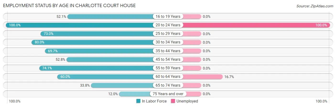 Employment Status by Age in Charlotte Court House