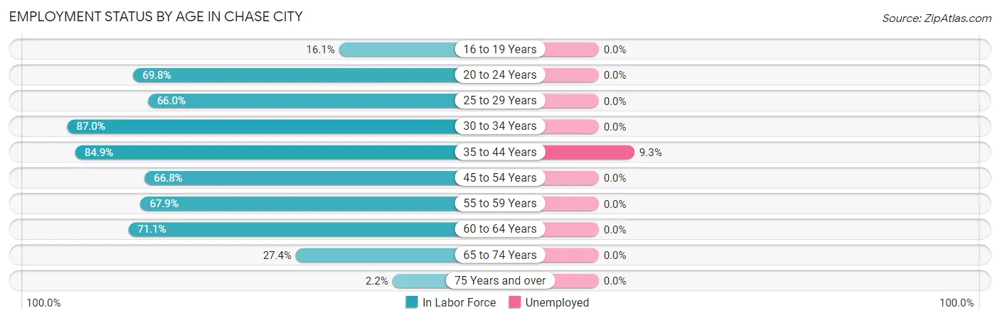 Employment Status by Age in Chase City