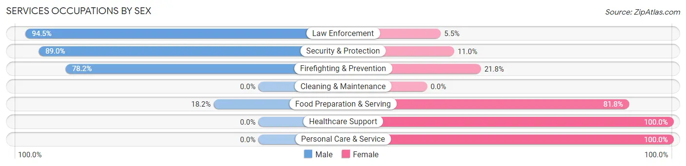 Services Occupations by Sex in Chase City