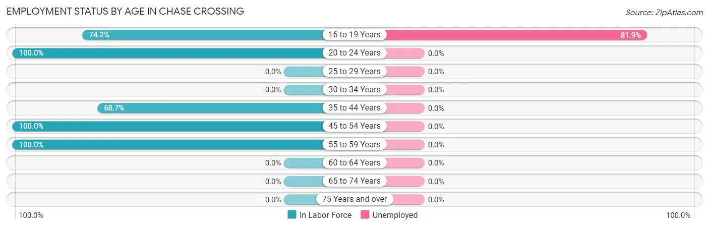Employment Status by Age in Chase Crossing
