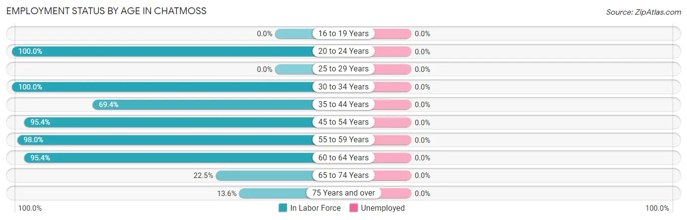 Employment Status by Age in Chatmoss