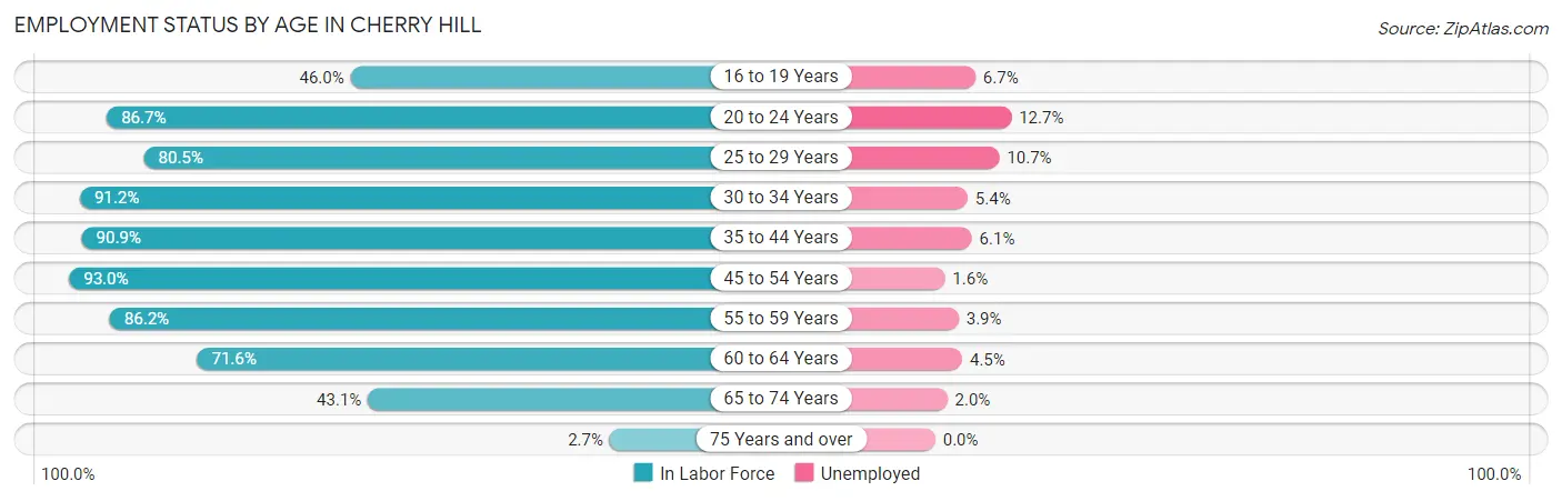 Employment Status by Age in Cherry Hill
