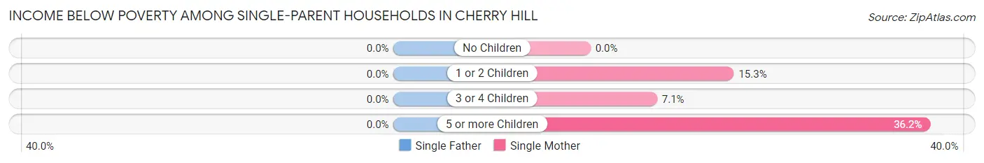 Income Below Poverty Among Single-Parent Households in Cherry Hill