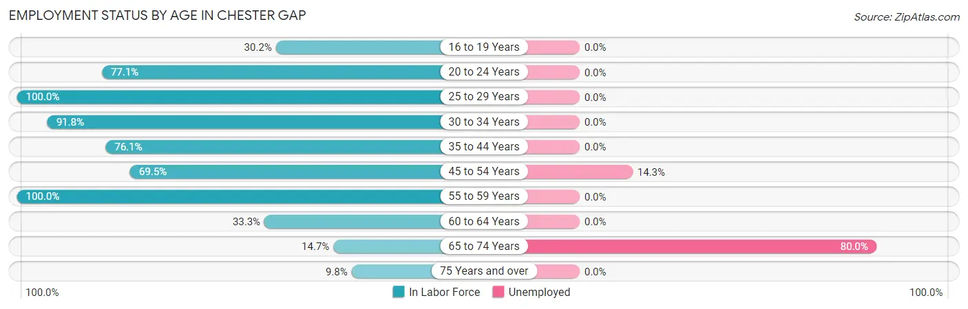Employment Status by Age in Chester Gap
