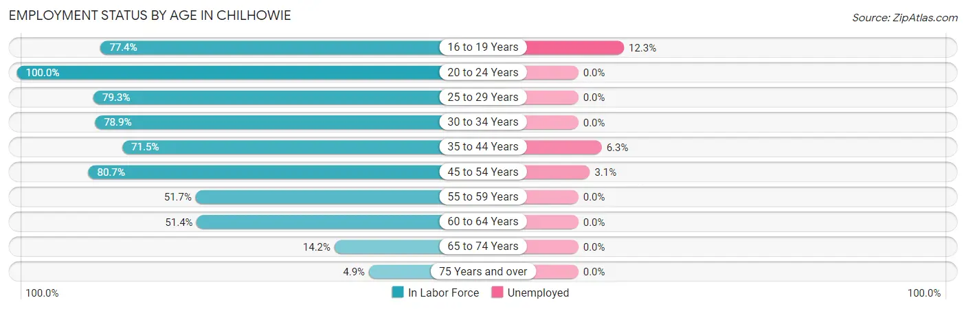 Employment Status by Age in Chilhowie