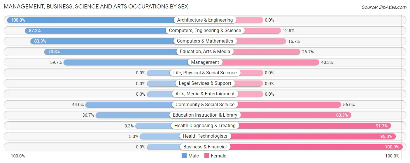 Management, Business, Science and Arts Occupations by Sex in Chilhowie