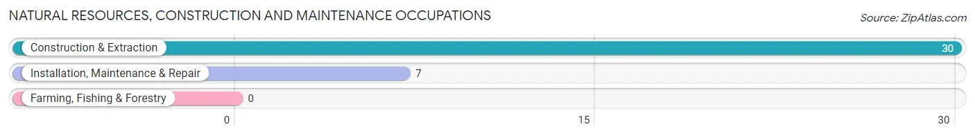 Natural Resources, Construction and Maintenance Occupations in Craigsville