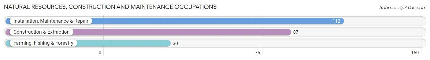 Natural Resources, Construction and Maintenance Occupations in Crewe