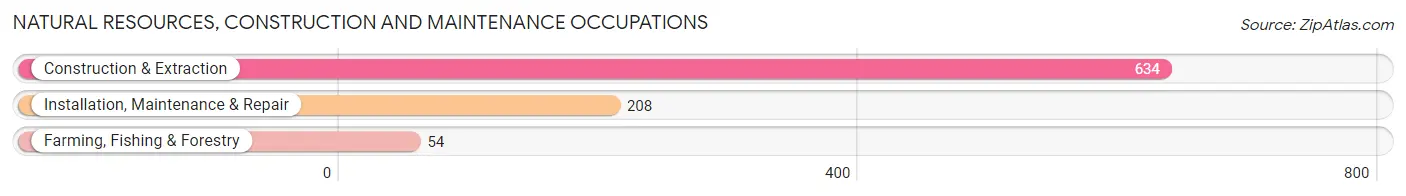 Natural Resources, Construction and Maintenance Occupations in Culpeper