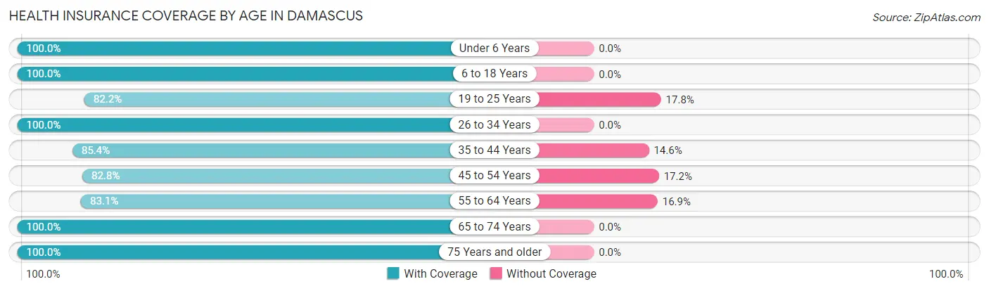 Health Insurance Coverage by Age in Damascus