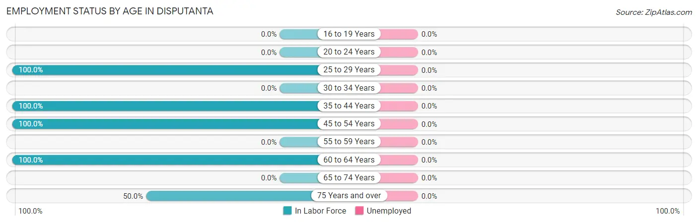 Employment Status by Age in Disputanta