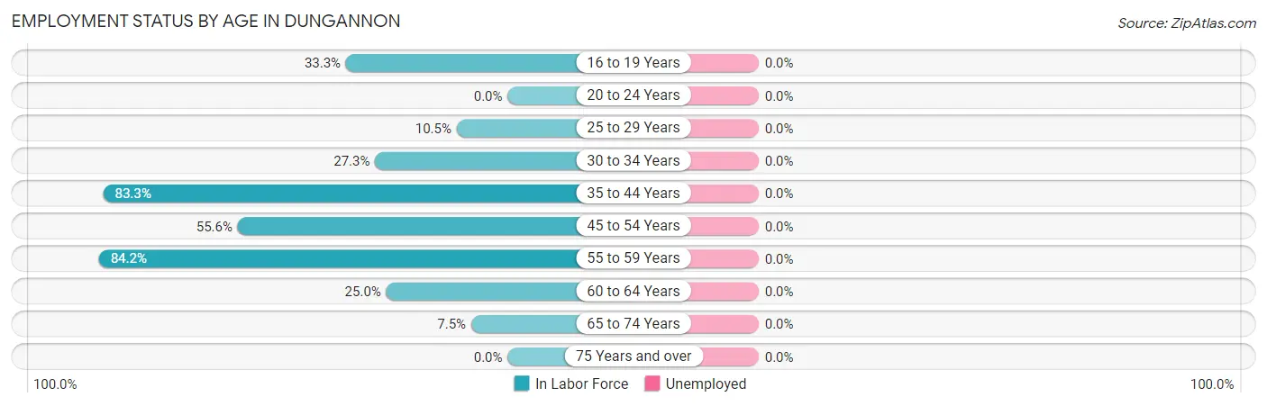 Employment Status by Age in Dungannon