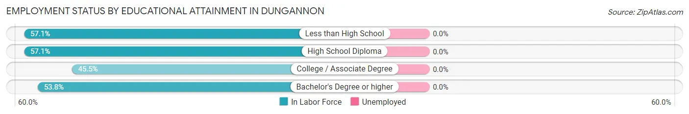 Employment Status by Educational Attainment in Dungannon