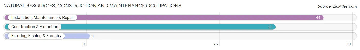 Natural Resources, Construction and Maintenance Occupations in Dunn Loring