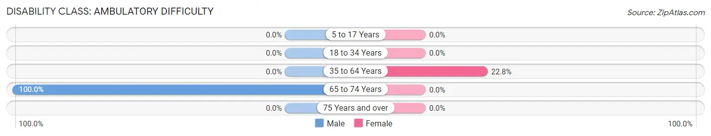 Disability in East Stone Gap: <span>Ambulatory Difficulty</span>