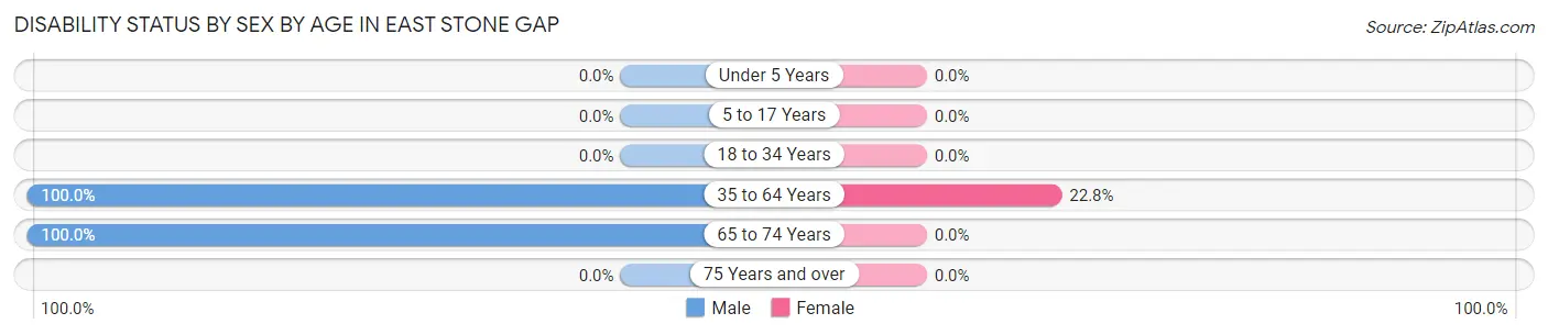 Disability Status by Sex by Age in East Stone Gap