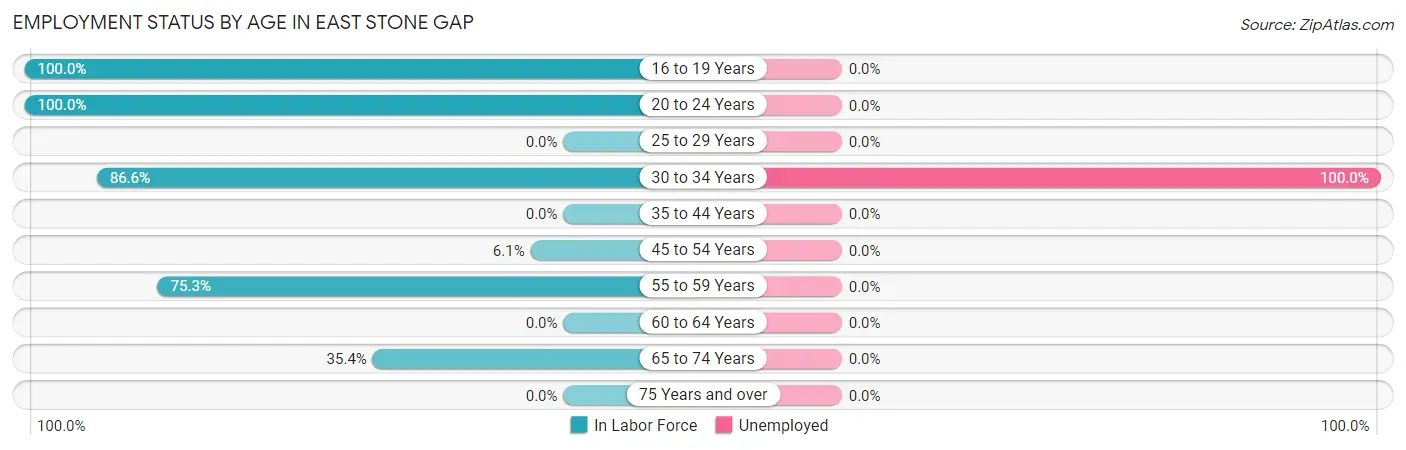 Employment Status by Age in East Stone Gap