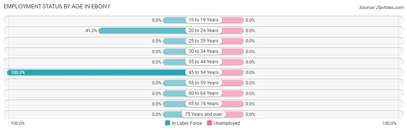 Employment Status by Age in Ebony