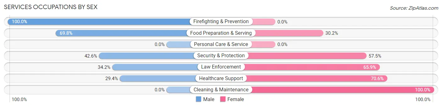 Services Occupations by Sex in Edinburg