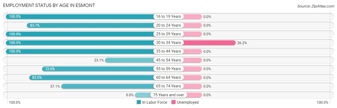 Employment Status by Age in Esmont