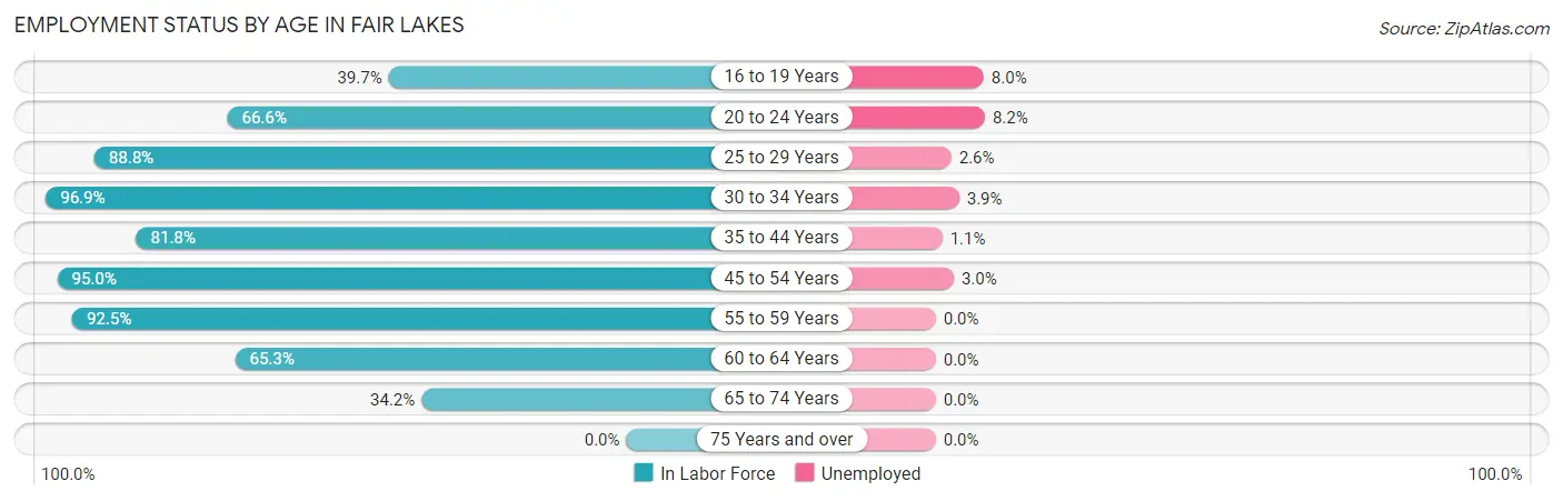 Employment Status by Age in Fair Lakes