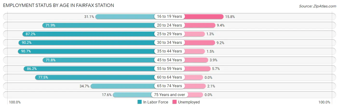 Employment Status by Age in Fairfax Station