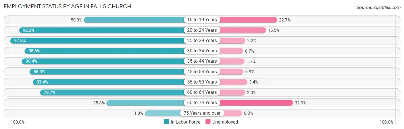 Employment Status by Age in Falls Church