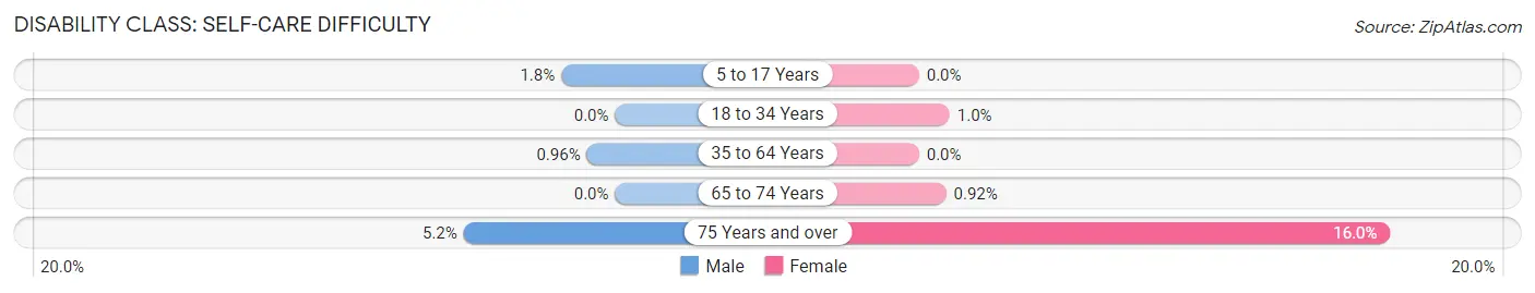 Disability in Falls Church: <span>Self-Care Difficulty</span>