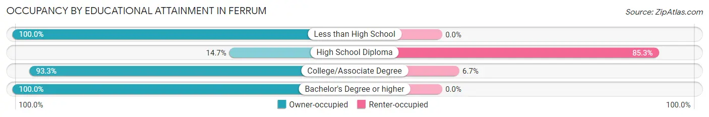 Occupancy by Educational Attainment in Ferrum