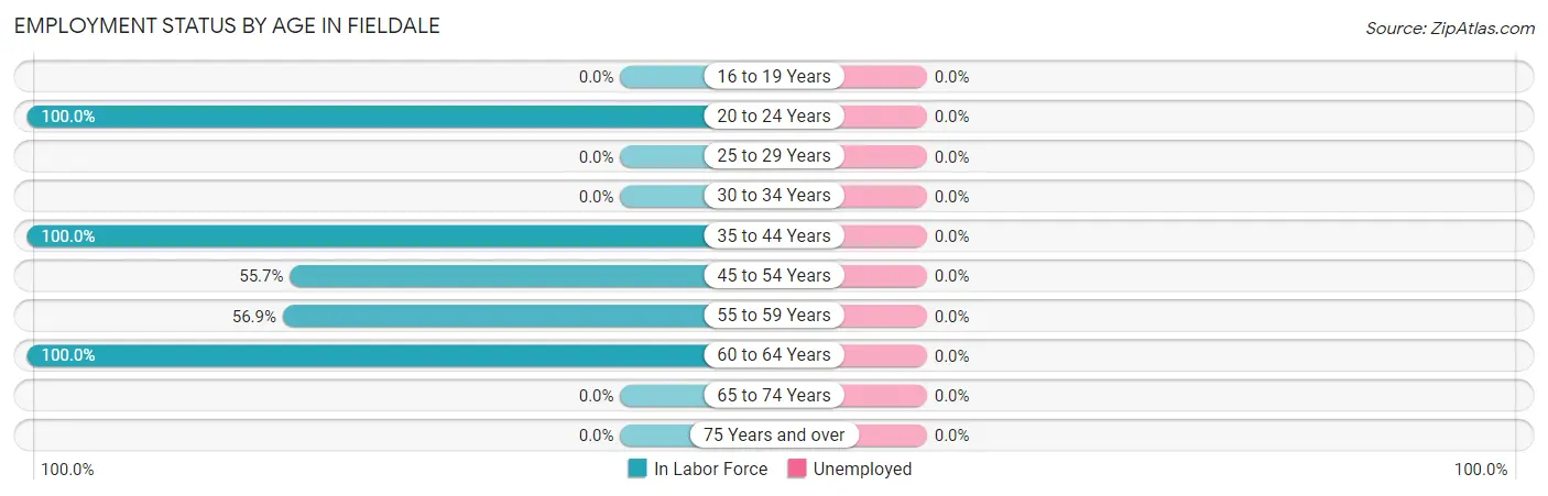 Employment Status by Age in Fieldale
