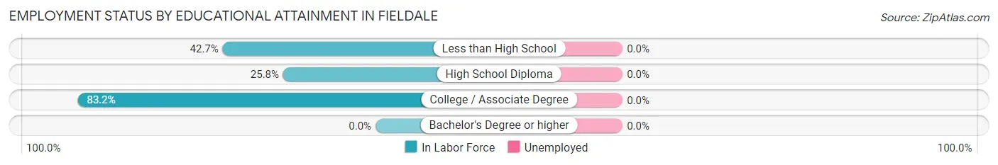 Employment Status by Educational Attainment in Fieldale