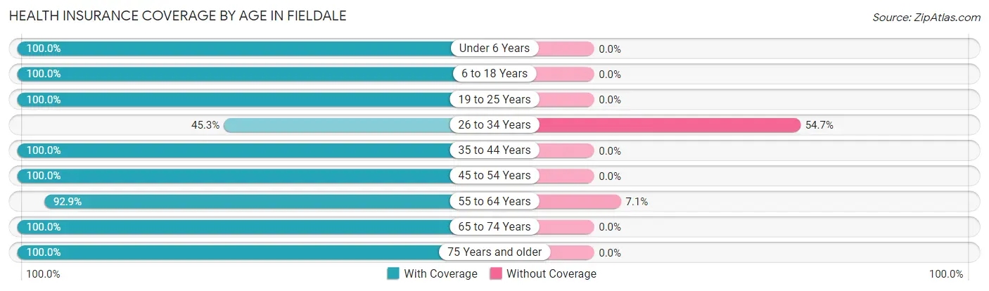 Health Insurance Coverage by Age in Fieldale