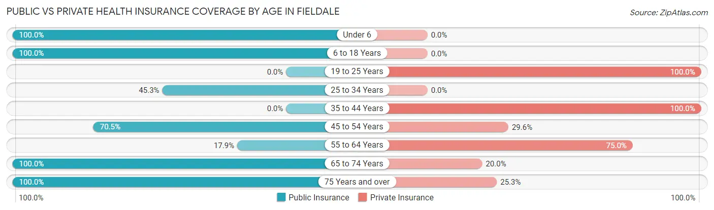 Public vs Private Health Insurance Coverage by Age in Fieldale