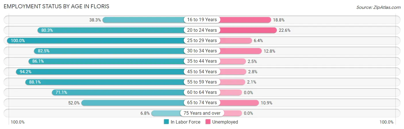 Employment Status by Age in Floris