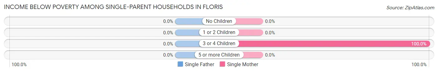 Income Below Poverty Among Single-Parent Households in Floris