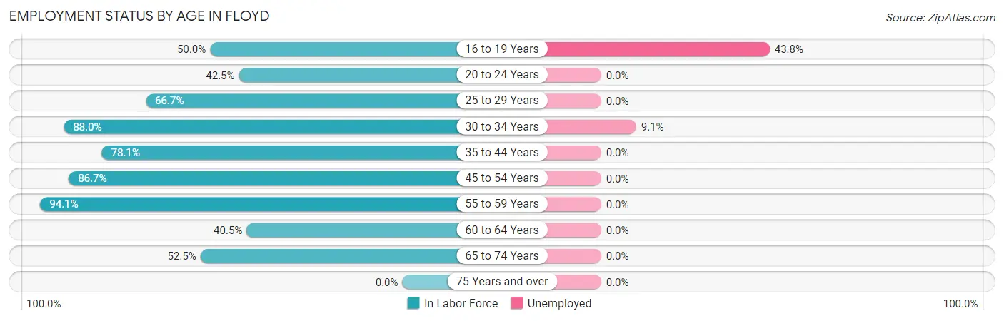 Employment Status by Age in Floyd