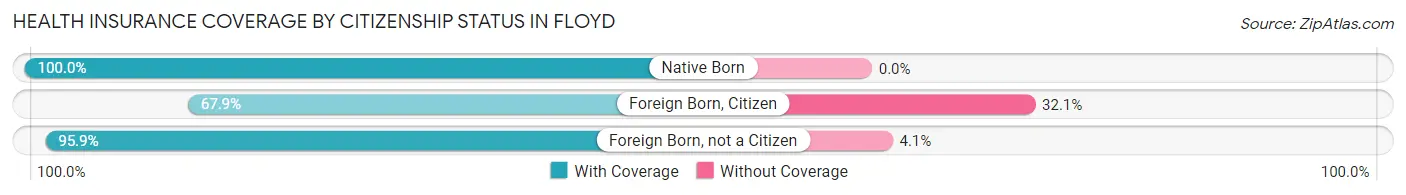 Health Insurance Coverage by Citizenship Status in Floyd