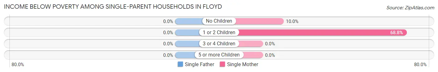 Income Below Poverty Among Single-Parent Households in Floyd