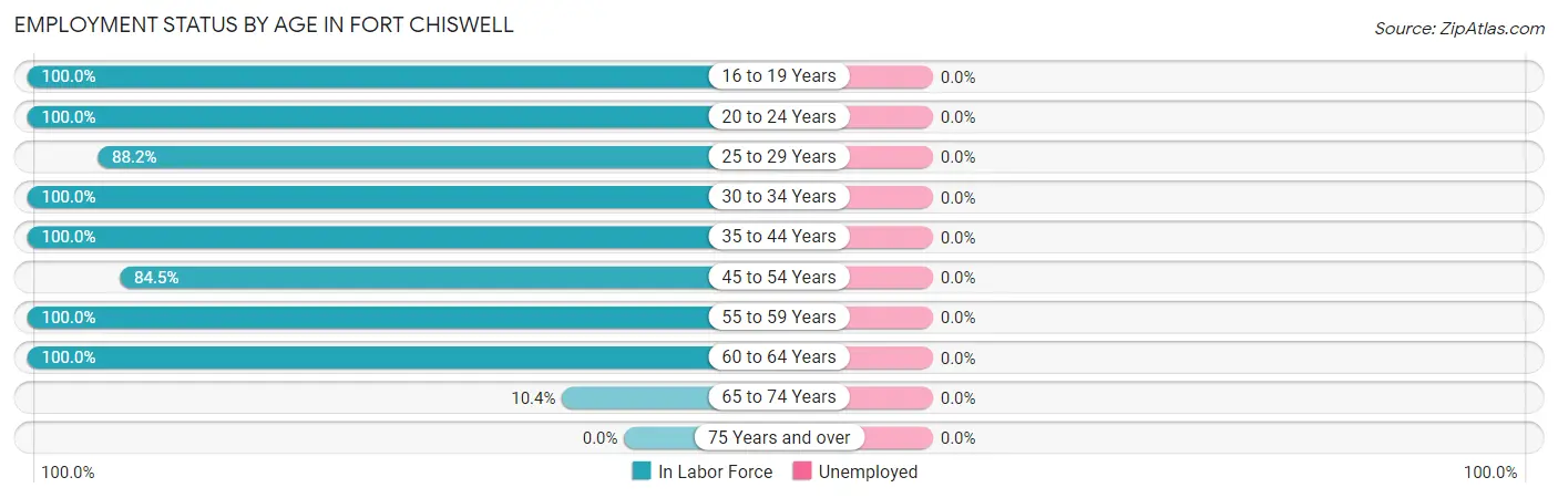 Employment Status by Age in Fort Chiswell