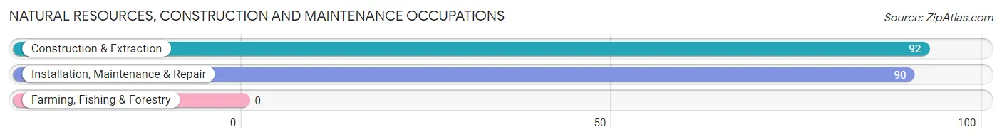 Natural Resources, Construction and Maintenance Occupations in Franconia