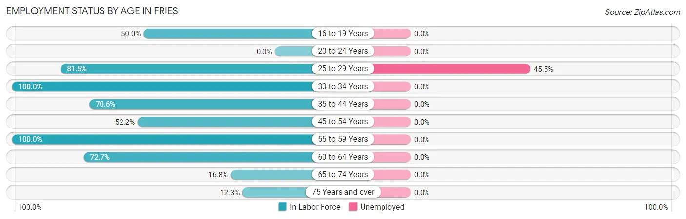 Employment Status by Age in Fries