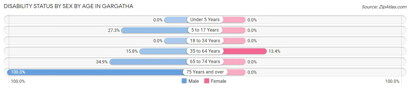 Disability Status by Sex by Age in Gargatha